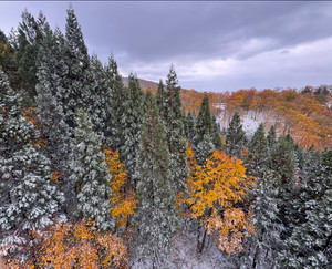 574388716_1439731164827762_11085703