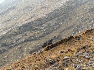 573350766_1443600547774157_12360067