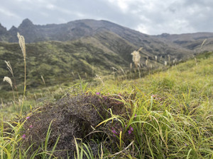 573354454_1443600814440797_26255981