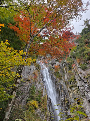 576233465_1448003080667237_47960182 576233465_1448003080667237_47960182