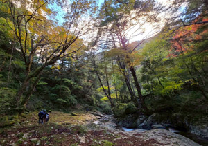 576378312_1448003264000552_19789677 576378312_1448003264000552_19789677