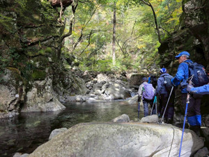 576465524_1448003187333893_665739_2 576465524_1448003187333893_665739_2