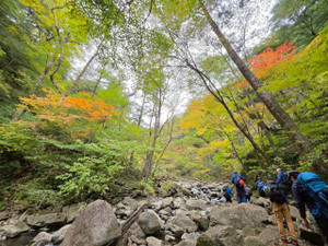 576526345_1448003314000547_91509150 576526345_1448003314000547_91509150