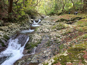 577228092_1448003340667211_34785554 577228092_1448003340667211_34785554