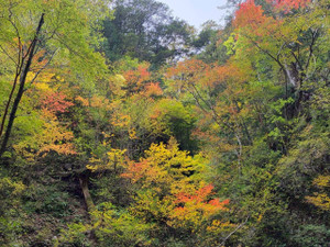 577308334_1448003270667218_31687154 577308334_1448003270667218_31687154