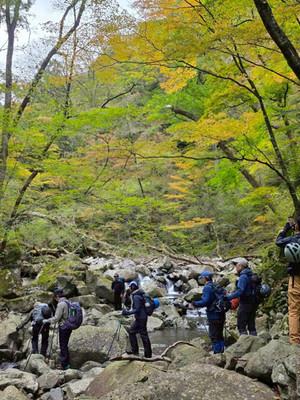 578001712_1448003050667240_80875112 578001712_1448003050667240_80875112