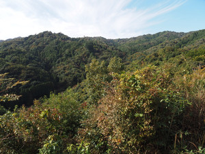 Pb040010_1 Pb040010_1