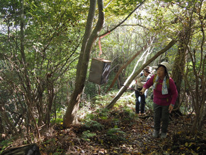 Pb040014_1 Pb040014_1