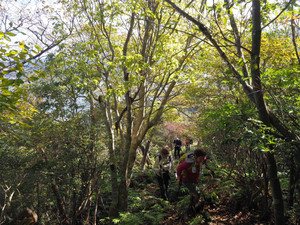 Pb040022_1 Pb040022_1