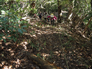 Pb040049_1 Pb040049_1