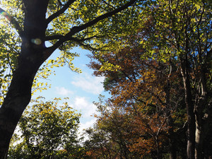 Pb040055_1 Pb040055_1