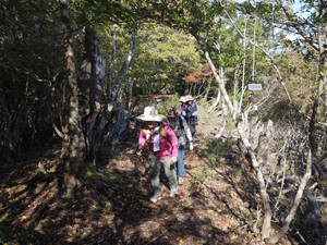 Pb040065_1 Pb040065_1