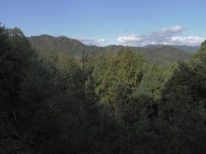 Pb040084_1 Pb040084_1