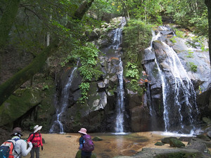 Pb040123_1 Pb040123_1