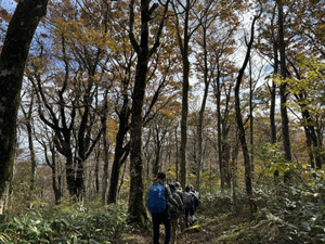 577812839_1450848853715993_49925712