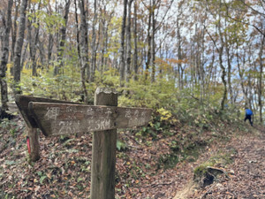 578558035_1450848877049324_16119532