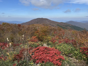 578996222_1450848607049351_41950252