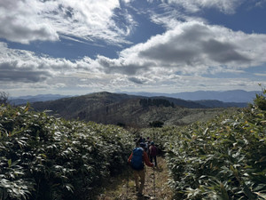 580565543_1453793110088234_44646885