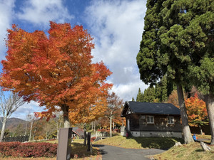 581939601_1453793440088201_45886589