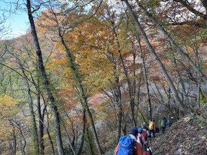 582561265_1453793523421526_67741272