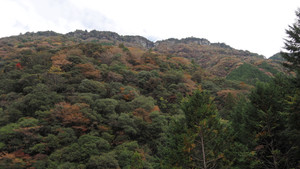 Pb120212_1 Pb120212_1