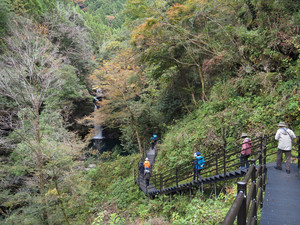 Pb120220_1 Pb120220_1