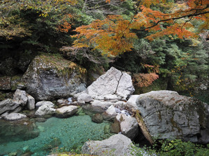 Pb120250_1 Pb120250_1