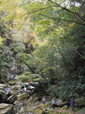 Pb120282_1 Pb120282_1