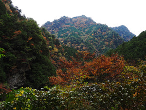 Pb120345_1 Pb120345_1