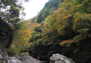 Pb120382_1_2 Pb120382_1_2