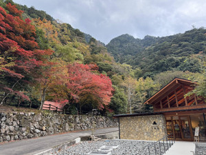 583304415_1460132316120980_869257_2 583304415_1460132316120980_869257_2