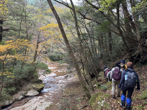 584864396_1460132272787651_82478012 584864396_1460132272787651_82478012