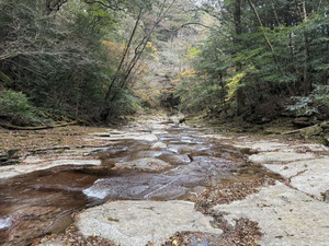 586293956_1460132679454277_10799646 586293956_1460132679454277_10799646