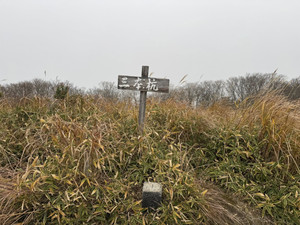 586824214_1460132336120978_91802578 586824214_1460132336120978_91802578