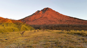 593714779_1471044198363125_606648_2 593714779_1471044198363125_606648_2