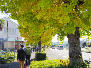 Pb160123_1 Pb160123_1