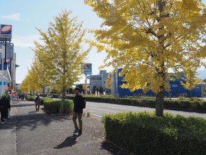 Pb160128_1 Pb160128_1