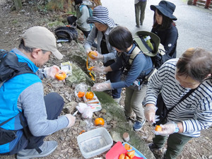 Pb160163_1 Pb160163_1