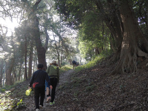 Pb160175_1 Pb160175_1