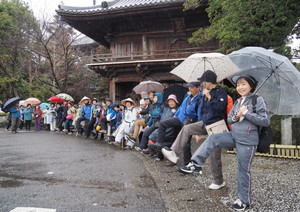 P3160056_1 P3160056_1