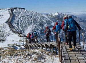 610984782_1501360221998189_65144766