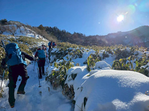 611150331_1501359941998217_60644162