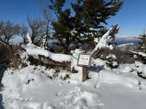 611509680_1501359981998213_76053839