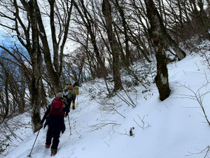 612159612_1504154978385380_29136895