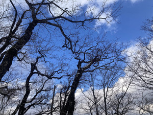 613024385_1504154871718724_65959646