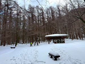 613396941_1504155051718706_53404730