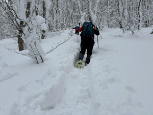 622065093_1524423813025163_47762355 622065093_1524423813025163_47762355