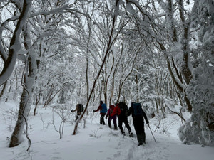 622134046_1524423949691816_28969354 622134046_1524423949691816_28969354