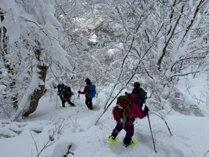 622187135_1524423959691815_155034_2 622187135_1524423959691815_155034_2