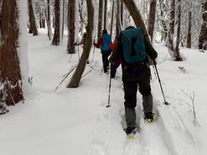 622269886_1524423726358505_27998730 622269886_1524423726358505_27998730